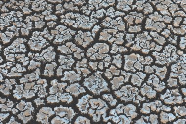 Çatlak toprak dokusu, Patagonya