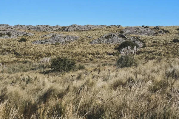 Εθνικό Πάρκο Quebrada Ντελ Κοτορίου Στην Επαρχία Κόρδοβα — Φωτογραφία Αρχείου