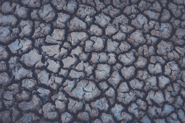 Texture Terre Fissurée Patagonie — Photo