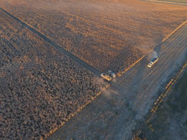 Arjantin kırsalında hasat, Pampas, Arjantin