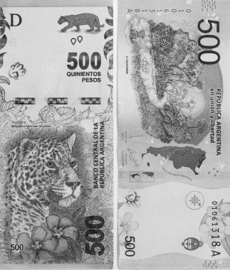 Arjantin'in yeni beş yüz banknot