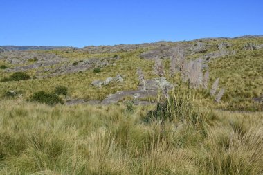 Cordoba eyaletindeQuebrada del Condorito Milli Parkı