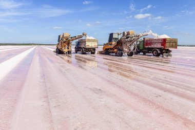 La Pampa, Arjantin'de mineral tuz hasadı