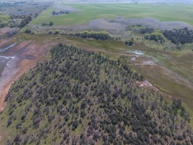 Pampas orman Prosopis Caldenia havadan görünümü