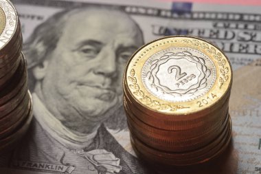 Yüz dolar fatura arka plan ile Arjantin sikke