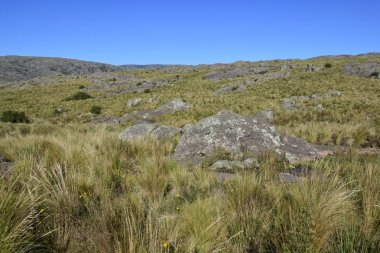 Cordoba eyaletindeQuebrada del Condorito Milli Parkı