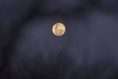 Full moon, Patagonia, Argentina clipart