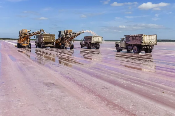 アルゼンチン パンパのミネラル塩の収穫 — ストック写真
