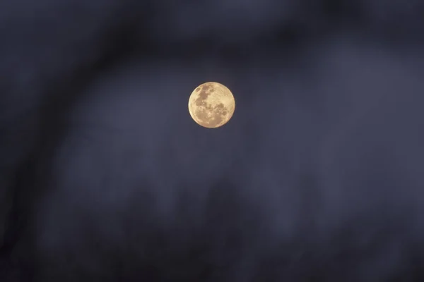 Full Moon Patagonia Argentina — Stock Photo, Image