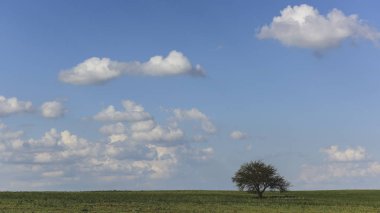 Pampas landscape, Patagonya, Arjantin