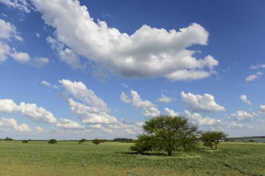 Pampas landscape, Patagonya, Arjantin