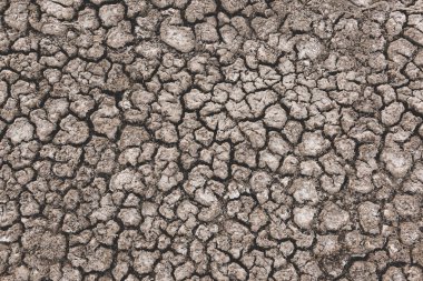 Çatlak toprak dokusu, Patagonya