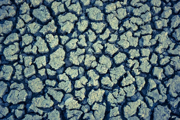 Cracked Dry Soil Patagonia Argentina — Stock Photo, Image
