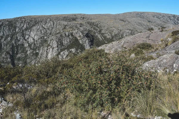 Parque Nacional Quebrada Del Condorito Paisagem Província Córdoba — Fotografia de Stock