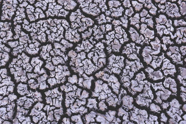 Cracked dry soil, Patagonia, Argentina
