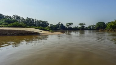 Cuaiaba nehir kıyısında orman manzara, Pantanal, Brezilya