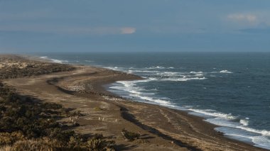 Yarımada Valdes kıyı deniz manzarası