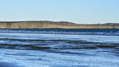 Deniz, kayalıklar ve flamingolar, Yarımada Valdes, Patagonya