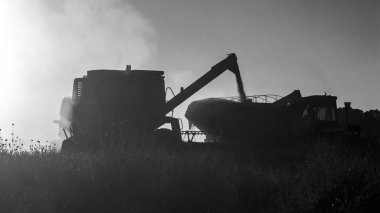 Arjantin kırsalında soya hasadı, La Pampa, Arjantin