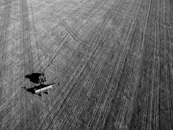 aerial view of Direct sowing 