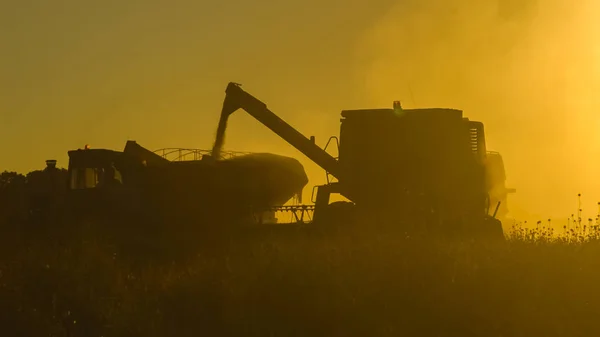 Arjantin kırsalında soya hasadı, La Pampa, Arjantin