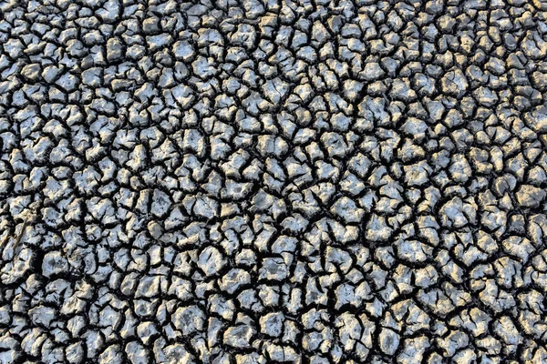 Rissige Trockene Böden Patagonien Argentinien — Stockfoto