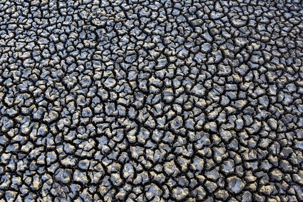 Rissige Trockene Böden Patagonien Argentinien — Stockfoto