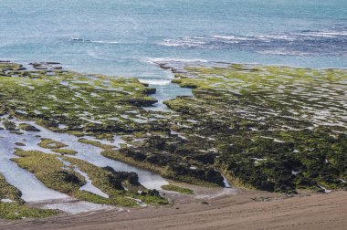 Sular çekilince taş yığınları, Valdes Yarımadası, Patagonya, Arjantin