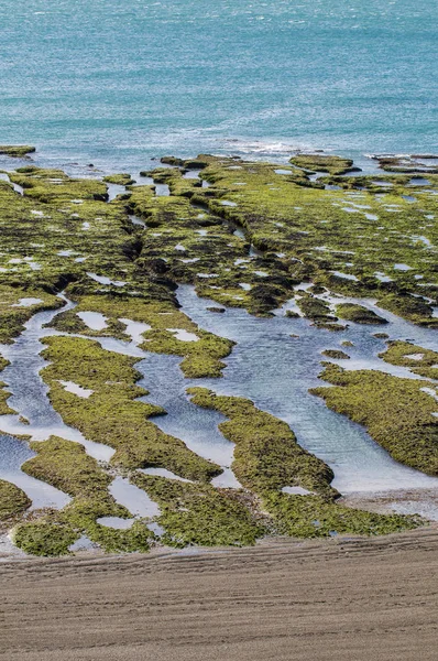 Каменная Отмель Время Отлива Полуостров Вальдес Патагония Аргентина — стоковое фото