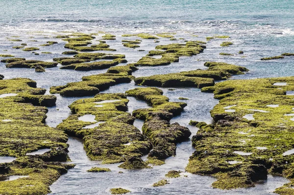 Каменная Отмель Время Отлива Полуостров Вальдес Патагония Аргентина — стоковое фото