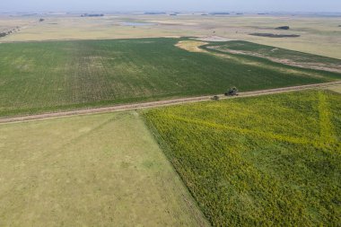 Pampas bölgesinde ekilmiş tarlalar, Arjantin.