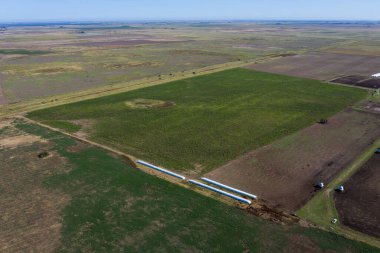 Arjantin, La Pampa 'da tahıl ambarı