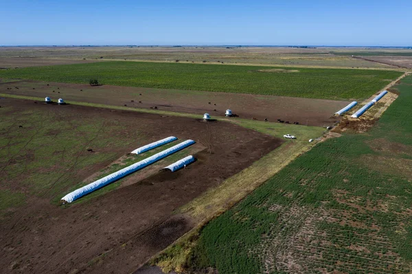 Silo Bag Sklad Obilí Venkově Pampas Argentina — Stock fotografie