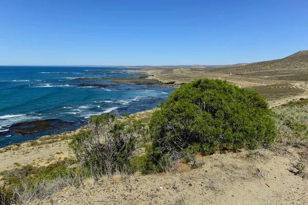 Costa Marfim Patagônia Argentina — Fotografia de Stock