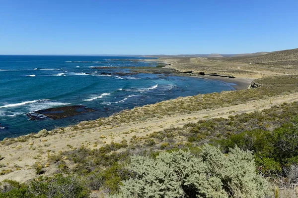 Kustlandskap Patagonien Argentina — Stockfoto