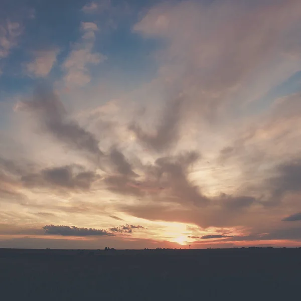 Koeien Bij Zonsondergang Pampa Argentinië — Stockfoto