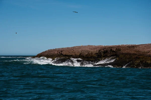 Kıyı Sahili Santa Cruz Eyaleti Patagonya Arjantin — Stok fotoğraf