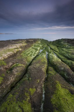 Puerto Piramitleri, Yarımada Valdes, Patagonya, Arjantin, manzaralı kıyı manzarası ve doğa rezervi üzerinde gün batımı.