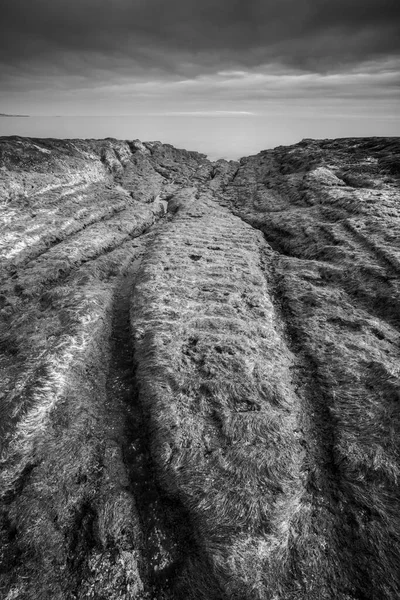 Puerto Piramitleri, Yarımada Valdes, Patagonya, Arjantin, manzaralı kıyı manzarası ve doğa rezervi üzerinde gün batımı.