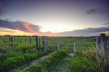 Baharda Sunset 'teki Pampas Sahası, La Pampa, Arjantin.