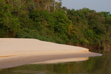 Pantanal River ile Sandbar, Dos Irmos, Pocone, Mato Grosso, Brezilya.