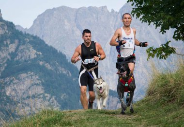 FRANCE, VILLARD RECULAS. AUGUST, 2015: Two Competitors Running with Dogs on the Path in Rhones Alpes, Trophee des Montagnes, The Hardest Canicross Race clipart