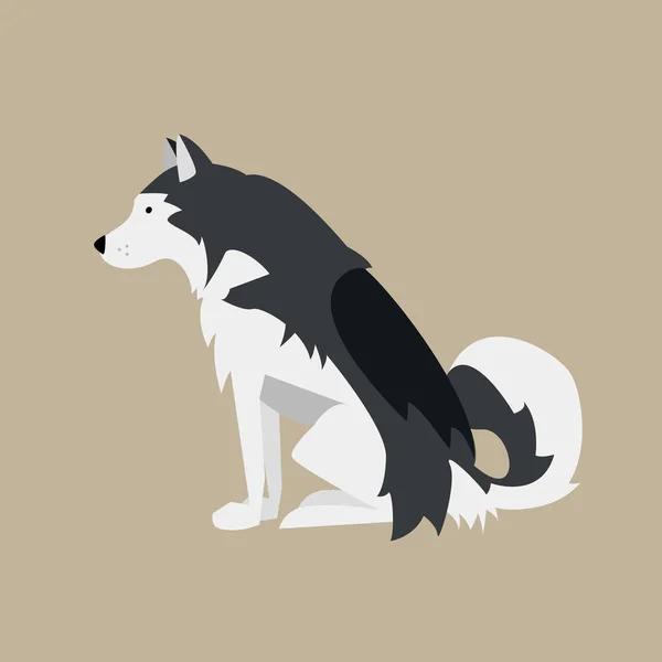 Vector Illustration Sitting Black White Dog Nordic Breed Alaskan Malamute — Stock Vector
