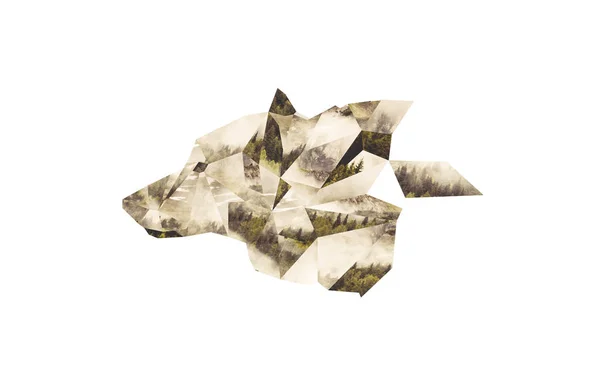 Cabeça de lobo os uma colagem de polígonos cortados da foto da floresta nebulosa . — Fotografia de Stock