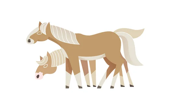 Par Caballos Haflinger Pie Ilustración Vectorial — Archivo Imágenes Vectoriales