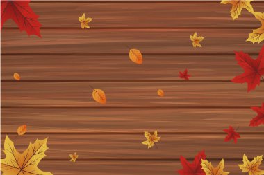 Sonbahar arka plan - dokulu sonbahar sarı yaprakları ile ahşap arka plan