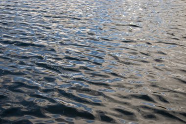 Okyanustaki dalgalar