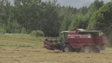 Myadel / Beyaz Rusya 08/08/2018 Biçerdöver hububat çiftlik alanı kaldırır