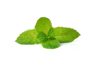 beyaz arkaplanda izole edilmiş nane
