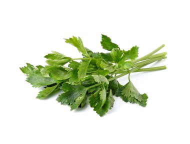 Taze yeşil kereviz beyaza izole edilmiş.